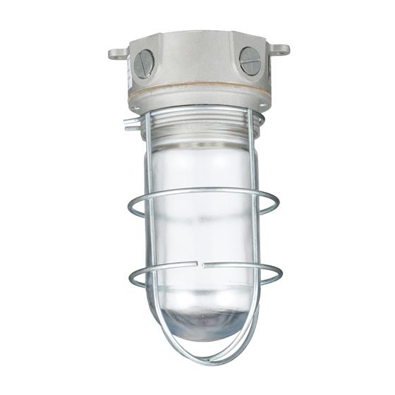 Picture of 100W 120VAC CSA Listed Aluminum Surface Mount Incandescent Refrigeration Light With Clear Glass Globe And Wire Guard