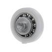Picture of 1" OD Nylon/Steel Flat Ball Bearing Roller with 1/2" Rivet Stud