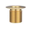 Picture of Encore® Brass Sink Drain 1-1/2" L, 1-3/8" Dia. Sink Opening, 2" Face Flange, 1" NPS