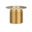Picture of Encore® Brass Sink Drain 1-1/2" L, 1-3/8" Dia. Sink Opening, 2" Face Flange, 1" NPS
