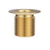 Picture of Encore® Brass Sink Drain 1-1/2" L, 1-3/8" Dia. Sink Opening, 2" Face Flange, 1" NPS