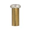 Picture of Encore® Tailpiece Assembly, 4" L, Brass, Includes: Gasket & Slip Nut, 1-1/2" NPT