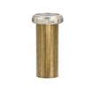 Picture of Encore® Tailpiece Assembly, 4" L, Brass, Includes: Gasket & Slip Nut, 1-1/2" NPT