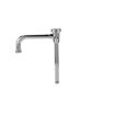 Picture of Encore Vacuum Breaker Spout Assembly, 6" Spout, 9" Swivel Riser