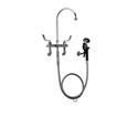 Picture of Encore 8" OC Deck Mount Veterinary Faucet 72" Hose with Heavy Duty Side Sprayer