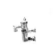 Picture of Encore® 8" OC Wall Mount Service Sink Faucet with Vacuum Breaker Less Wall Support Bracket