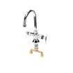 Picture of Encore® Brass Chrome Plated Double Pantry Faucet with 6" Rigid Gooseneck Spout