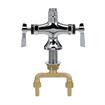 Picture of Encore Brass Chrome Plated Double Pantry Faucet Body Only