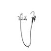 Picture of Encore® 8" OC. Brass Chrome Plated Wall Mount Pot Filler Assembly Hooked Spray Head  Vacuum Breaker and 72" Hose