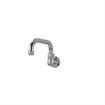 Picture of Encore® Brass Chrome Plated Wall Mount Spout Base with 10" Swivel Spout