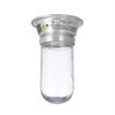 Picture of 100W Surface Mount  CSA Approved Incandescent Hood Light With Clear Coated Tempered Glass Globe