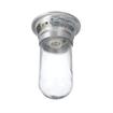 Picture of 100W Surface Mount  CSA Approved Incandescent Hood Light With Clear Coated Tempered Glass Globe