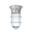 Picture of 100W Surface Mount  CSA Approved Incandescent Hood Light With Clear Coated Tempered Glass Globe And Wire Guard