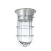 Picture of 100W Surface Mount  CSA Approved Incandescent Hood Light With Clear Coated Tempered Glass Globe And Wire Guard