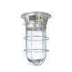 Picture of 100W Surface Mount  CSA Approved Incandescent Hood Light With Clear Coated Tempered Glass Globe And Wire Guard