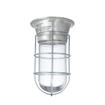 Picture of 100W Surface Mount  CSA Approved Incandescent Hood Light With Clear Coated Tempered Glass Globe And Wire Guard