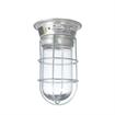 Picture of 100W Surface Mount  CSA Approved Incandescent Hood Light With Clear Coated Tempered Glass Globe And Wire Guard