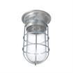 Picture of 100W Surface Mount  CSA Approved Incandescent Hood Light With Clear Coated Tempered Glass Globe And Wire Guard