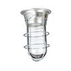 Picture of 100W Surface Mount  CSA Approved Incandescent Hood Light With Tempered Glass Globe And Wire Guard