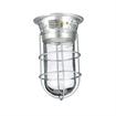 Picture of 100W Surface Mount  CSA Approved Incandescent Hood Light With Tempered Glass Globe And Wire Guard