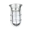 Picture of 100W Surface Mount  CSA Approved Incandescent Hood Light With Tempered Glass Globe And Wire Guard