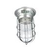 Picture of 100W Surface Mount  CSA Approved Incandescent Hood Light With Tempered Glass Globe And Wire Guard