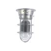 Picture of 12W Surface Mount Natural White LED Hood Light With Tempered Glass Globe And Wire Guard