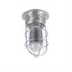 Picture of 12W Surface Mount Natural White LED Hood Light With Tempered Glass Globe And Wire Guard