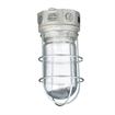 Picture of 100W 120VAC CSA Listed Aluminum Surface Mount Incandescent Refrigeration Light With Clear Glass Globe And Wire Guard