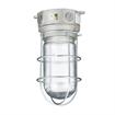 Picture of 100W 120VAC CSA Listed Aluminum Surface Mount Incandescent Refrigeration Light With Clear Glass Globe And Wire Guard