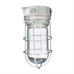 Picture of 100W 120VAC CSA Listed Aluminum Surface Mount Incandescent Refrigeration Light With Clear Glass Globe And Wire Guard