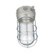 Picture of 100W 120VAC CSA Listed Aluminum Surface Mount Incandescent Refrigeration Light With Clear Glass Globe And Wire Guard
