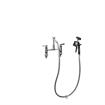 Picture of Encore®  8" OC Brass Chrome Plated Deck Mount Utility Spray Assembly Ceramic Valves with 72" Hose