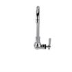 Picture of Encore® Brass Chrome Plated Single Wall Mount Faucet with 6" Rigid Gooseneck Spout