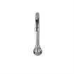 Picture of Encore® Brass Chrome Plated Wall Mount Spout Base with 6" Gooseneck Spout, Retail Packaging