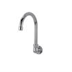 Picture of Encore® Brass Chrome Plated Wall Mount Spout Base with 6" Gooseneck Spout, Retail Packaging