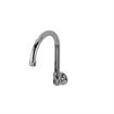Picture of Encore® Brass Chrome Plated Wall Mount Spout Base with 6" Gooseneck Spout, Retail Packaging